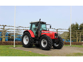 Farm tractor Massey Ferguson 6480: picture 2