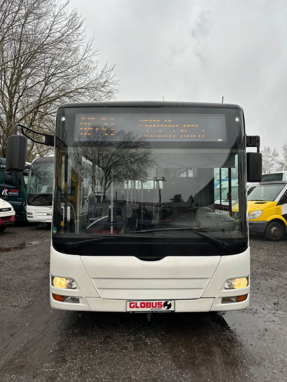 City bus MAN A 66 Midi (EEV): picture 8