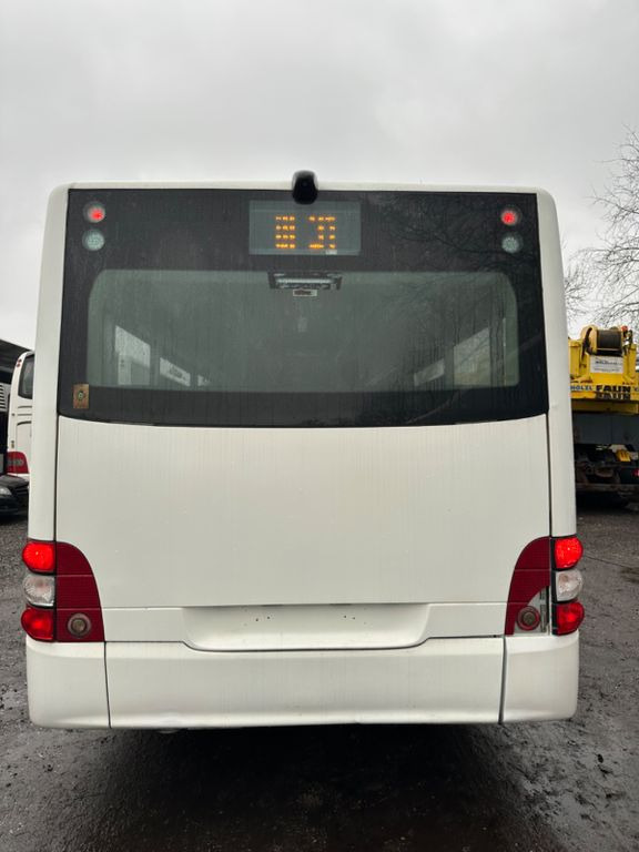City bus MAN A 66 Midi (EEV): picture 9
