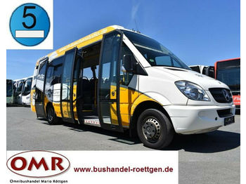 Minibus, Passenger van Mercedes-Benz 906 OK 50 / Sprinter / City: picture 1