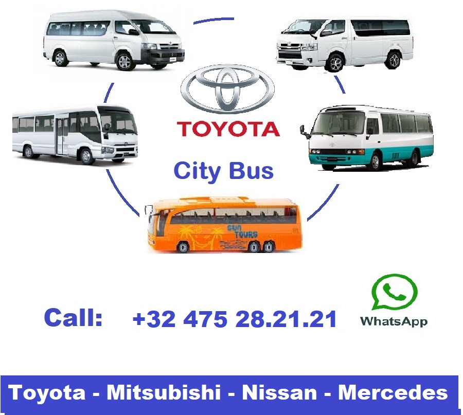 TOYOTA Coaster .... 25 places on lease TOYOTA Coaster .... 25 places: picture 8
