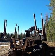 Forwarder Ponsse Buffalo breaking for parts: picture 12