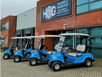 Golf cart HANSECART Gebruikt -  2019 - Elektrisch: picture 1