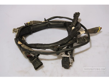 Cables/ Wire harness DAF XF