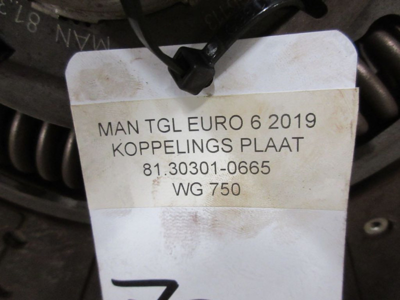 Clutch and parts for Truck MAN TGL 81.30301-0665 KOPPELINGSPLAAT EURO 6: picture 3