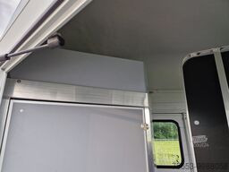 New Car trailer Cheval Liberté Alu Pferdeanhänger hohe Einstiegstüren Touring Jumping Pullman 100km 2023 verfügbar: picture 16