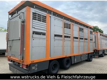 Livestock trailer Menke 2 Stock Ausahrbares Dach Vollalu: picture 1