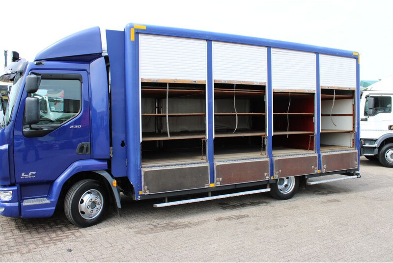 Box truck DAF LF 230 + EURO 6: picture 8