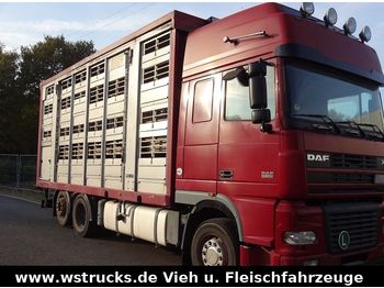 Livestock truck DAF  XF 95/480 SSC Stehmann 4Stock Vollalu Hubdach: picture 1