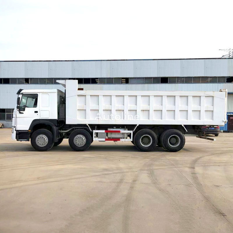 Tipper HOWO 8x4 drive 12 wheeled tipper truck white color: picture 4