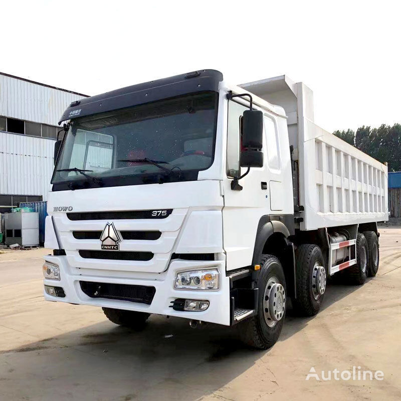Tipper HOWO 8x4 drive 12 wheeled tipper truck white color: picture 3