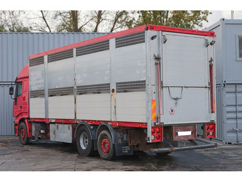 Livestock truck IVECO STRALIS 260 BDF: picture 5