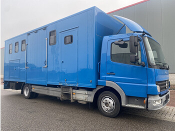 Livestock truck Mercedes-Benz Atego 1018, Euro 5, ( 4 Stands / Living ) Horses / Pferde / Chevaux / Paarden: picture 1