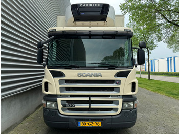 Refrigerator truck Scania P 230 / Carrier / Chereau / Euro 5 / Tail Lift / Optie Cruise / NL Truck: picture 5
