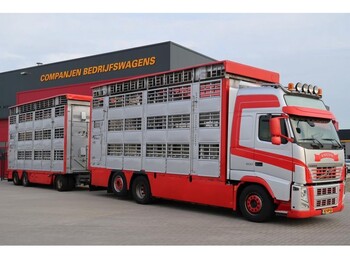 Livestock truck Volvo FH 500 6X2: picture 1