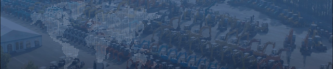 Euro Auctions - Construction machinery WACKER - Auction undefined: picture 2