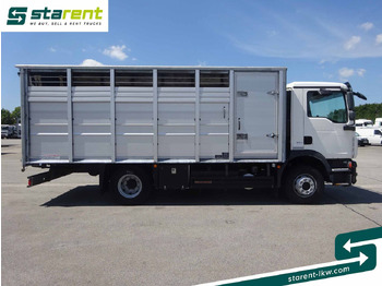 Horse truck MAN TGM 15.290 Viehtransporter, Scheuwimmer Aufbau: picture 4