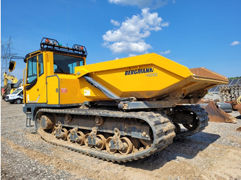 BERGMANN 4010R on lease BERGMANN 4010R: picture 2