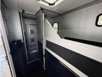 New Horse truck Fiat Böckmann Compact Stall LKW: picture 5