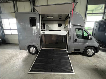 Horse truck FIAT