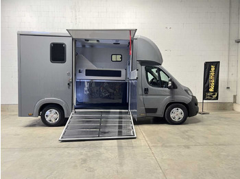 Horse truck FIAT