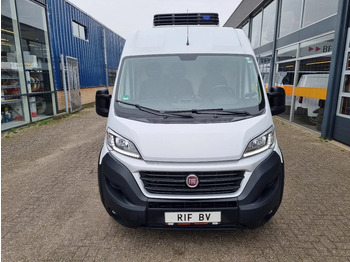Refrigerated van Fiat Ducato Maxi 2.3 JTD Koelwagen Multitemp Xarios 350MT ST 230V: picture 3