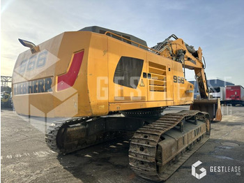 Crawler excavator Liebherr R966 HD: picture 3