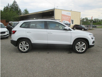 SUV Skoda 2.0TDI Ambition: picture 5