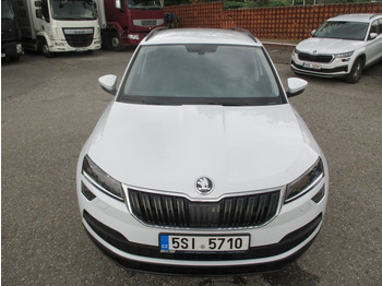 SUV Skoda 2.0TDI Ambition: picture 3