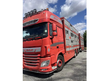 Livestock truck DAF XF 460 + Przyczepa Pezzaoli - 3X Trzoda, 2 X Bydło I 3 poziomy  I Podnoszony dach I Hydroburta I Osie Skrętne I Poidła I Wentylatory I Pilot Manualny | Euro5: picture 2