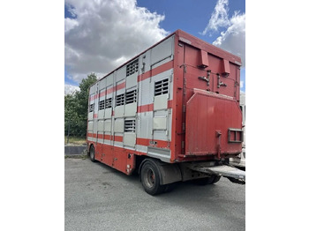 Livestock truck DAF XF 460 + Przyczepa Pezzaoli - 3X Trzoda, 2 X Bydło I 3 poziomy  I Podnoszony dach I Hydroburta I Osie Skrętne I Poidła I Wentylatory I Pilot Manualny | Euro5: picture 3