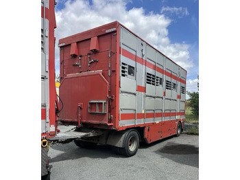 Livestock truck DAF XF 460 + Przyczepa Pezzaoli - 3X Trzoda, 2 X Bydło I 3 poziomy  I Podnoszony dach I Hydroburta I Osie Skrętne I Poidła I Wentylatory I Pilot Manualny | Euro5: picture 4