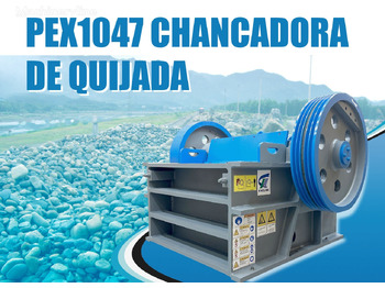 : header image