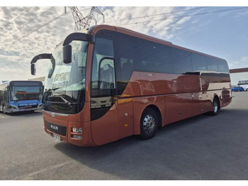 Coach MAN Lion's Coach