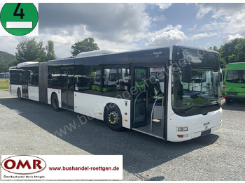 Articulated bus MAN Lion's City A23