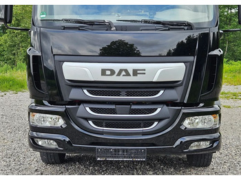 Curtainsider truck DAF LF 290 / WINDA / 16TON DMC / FIRANKA / AUTOMAT / JEDEN WŁAŚCICIE  / EURO 6 / 2019 / SPROWADZONY / 20PALET / NISKI PRZEBIEG / DUŻA ŁADOWNOŚĆ / JAK NOWY: picture 5