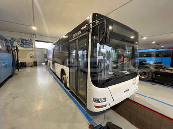 City bus MAN Lion's City A37