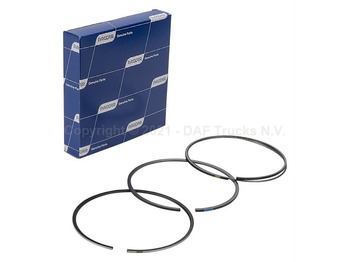 Piston/ Ring/ Bushing DAF CF