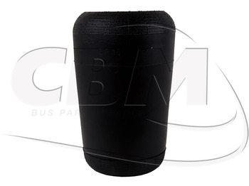 Air suspension IRISBUS
