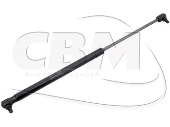 Body and exterior ZF