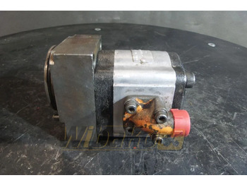 Hydraulic pump