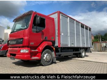 Livestock truck DAF LF 55 Einstock KABA: picture 1