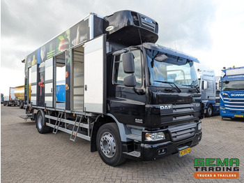 Refrigerator truck DAF FA CF65.250 4x2 Daycab Euro5 KoelVriesBak 6.7M  + Carrier Supra750Mt + Laadklep2000kg: picture 3 Refrigerator truck DAF FA CF65.250 4x2 Daycab Euro5 KoelVriesBak 6.7M  + Carrier Supra750Mt + Laadklep2000kg: picture 3