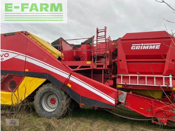Potato harvester Grimme evo 290 airsep: picture 3
