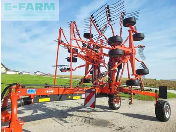 Tedder/ Rake KUHN