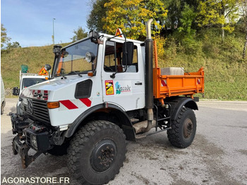 Truck UNIMOG
