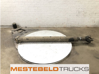 Drive shaft DAF