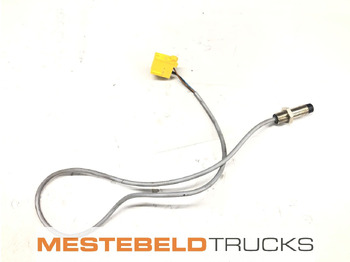 Clutch and parts DAF