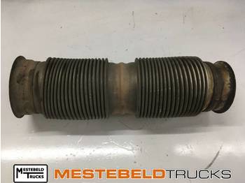 Exhaust system DAF XF 106