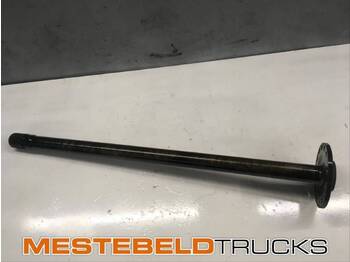 Rear axle DAF